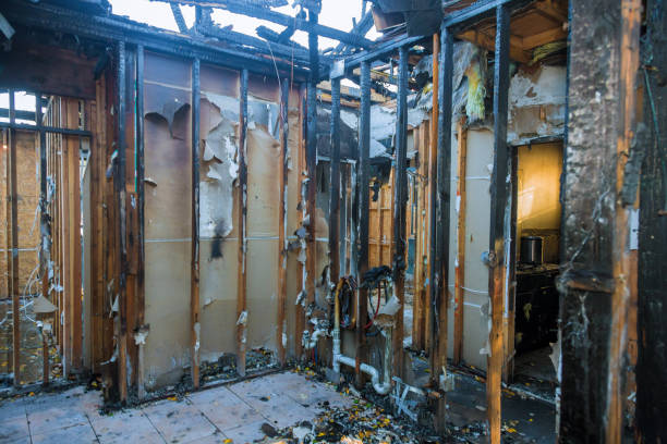 Professional Odor Removal technician working in Bethany, IL